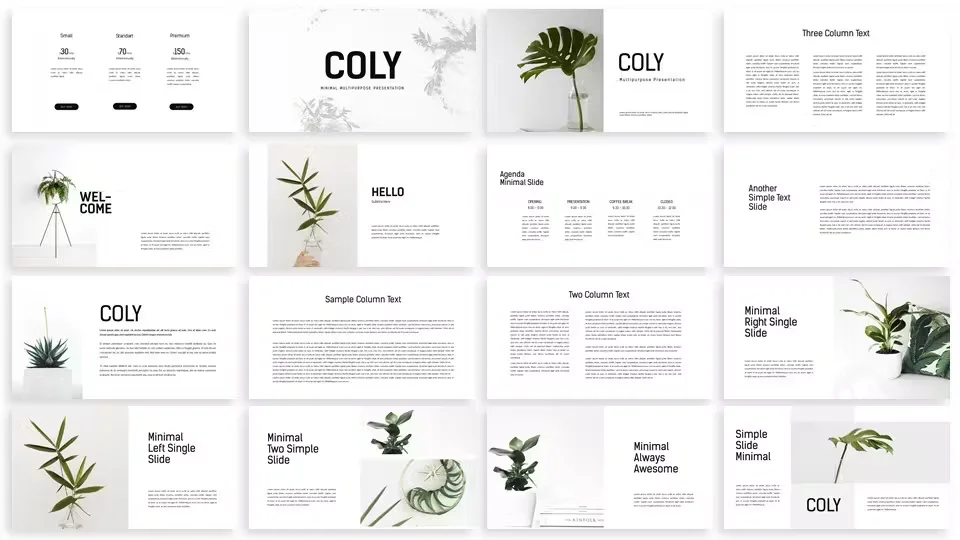 coly-google-slides-template-03