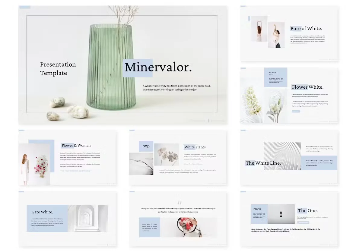 minervalor-powerpoint-template-03