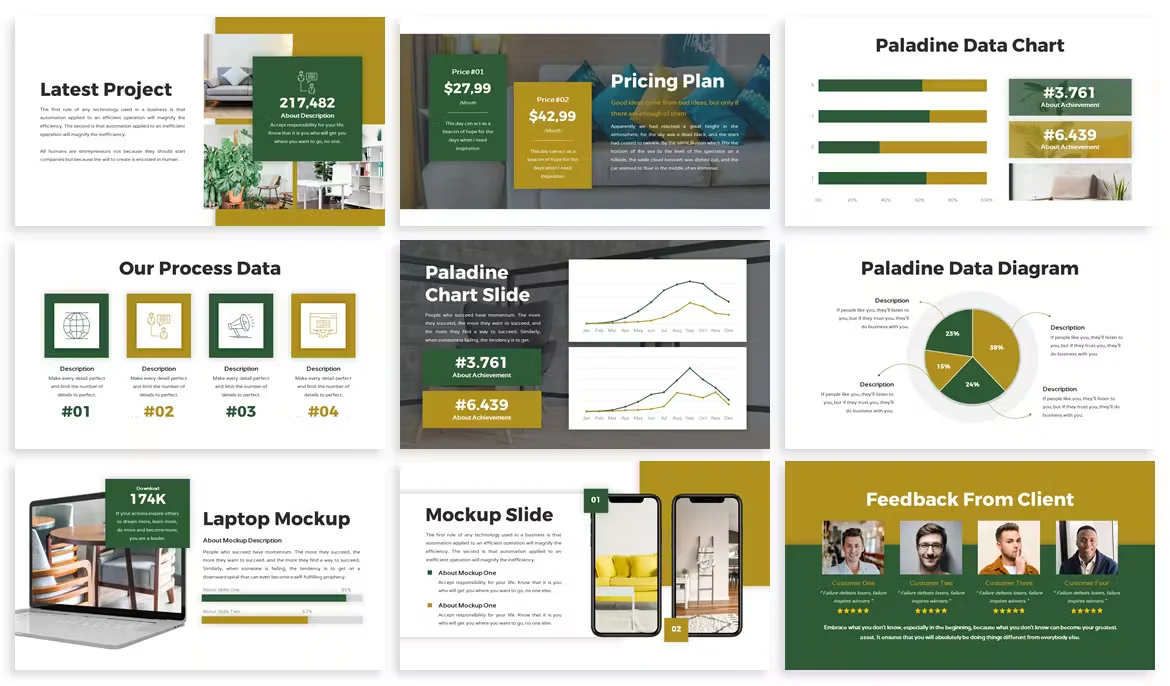 paladine-business-google-slides-02