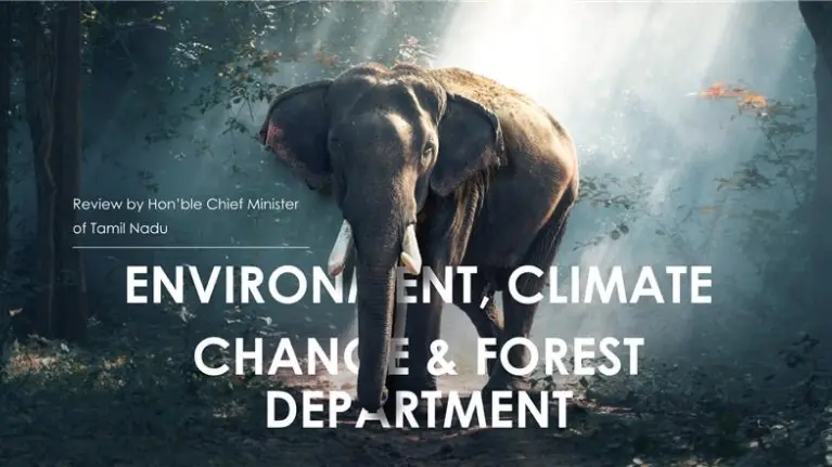 What we offer banner image 1