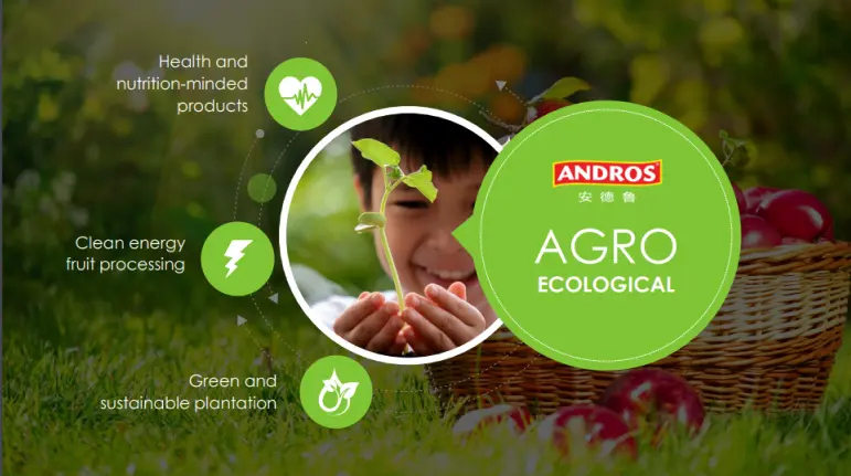 What we offer banner image 3